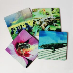 Posavasos de animales